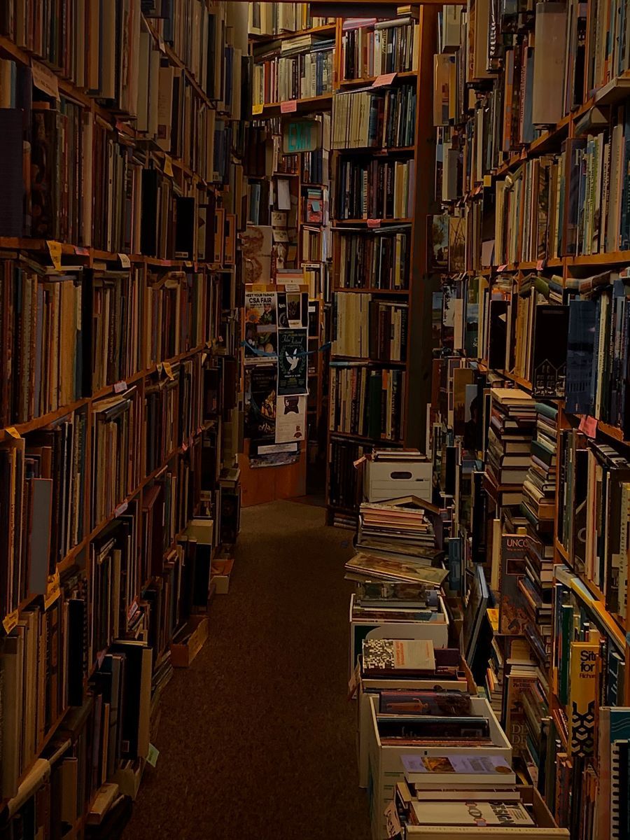 A long isle of books at a book store - Library