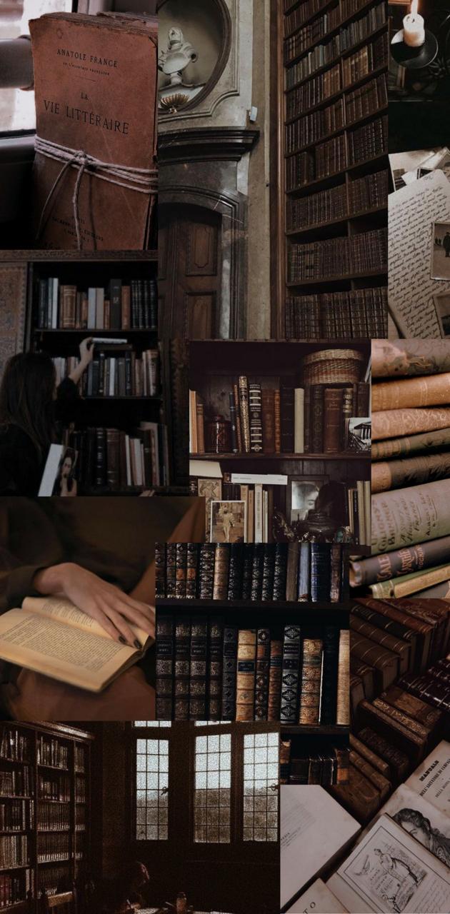 Aesthetic collage of bookshelves, old books, and a person reading - Library