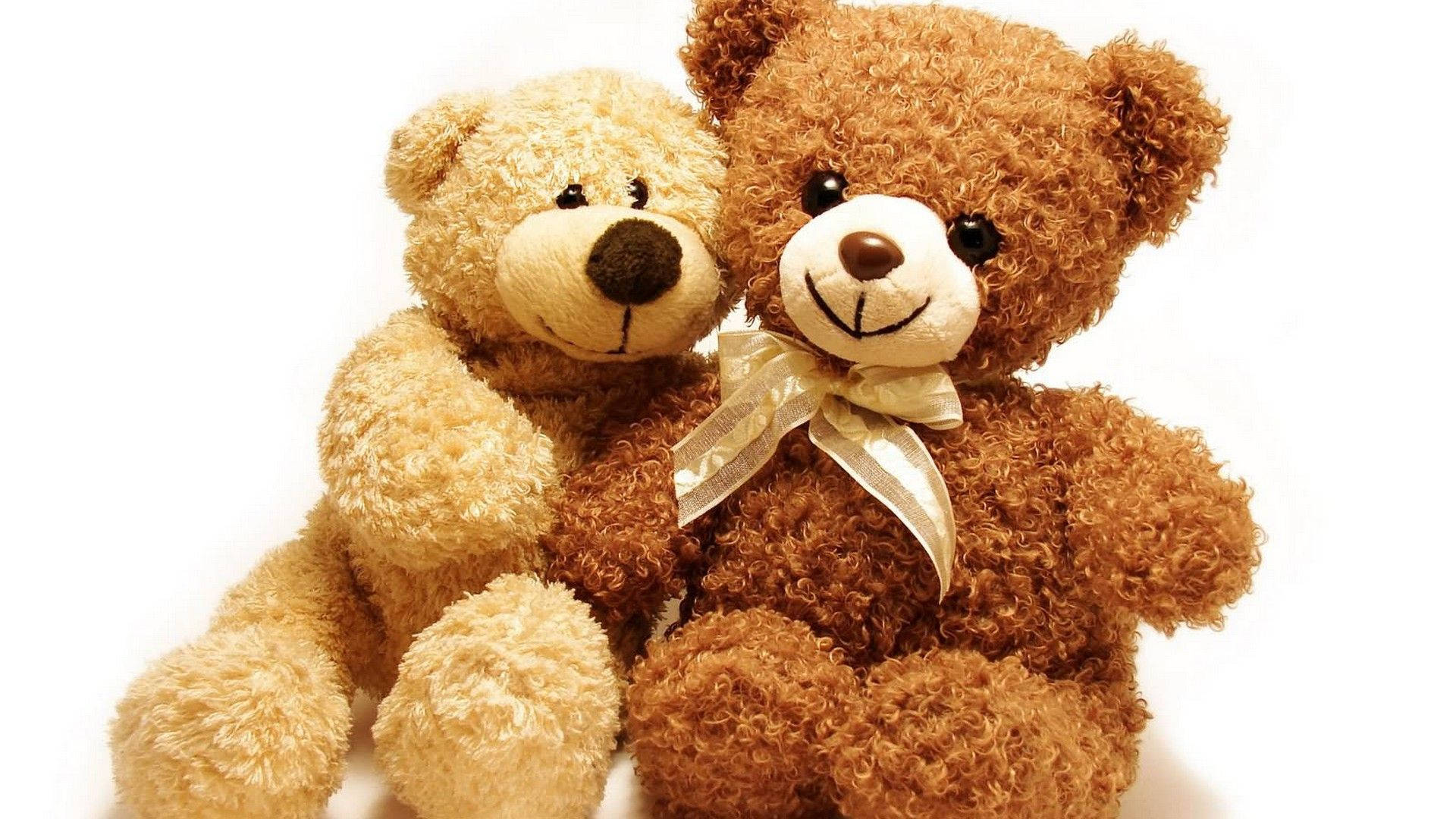 Teddy Bear HD Wallpaper, Free Teddy Bear Wallpaper Image For All Devices