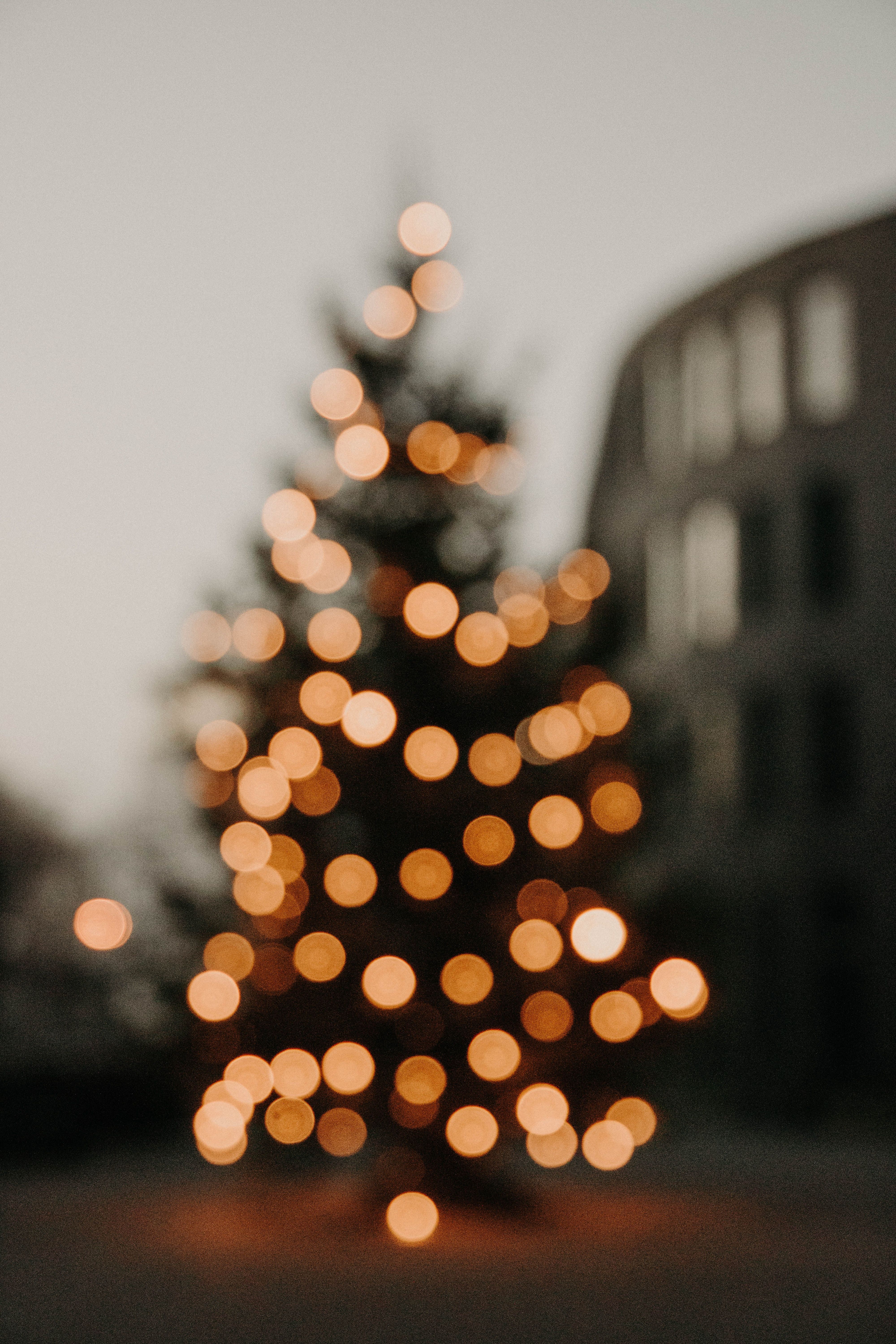 A blurry photo of a Christmas tree with white lights. - Christmas lights