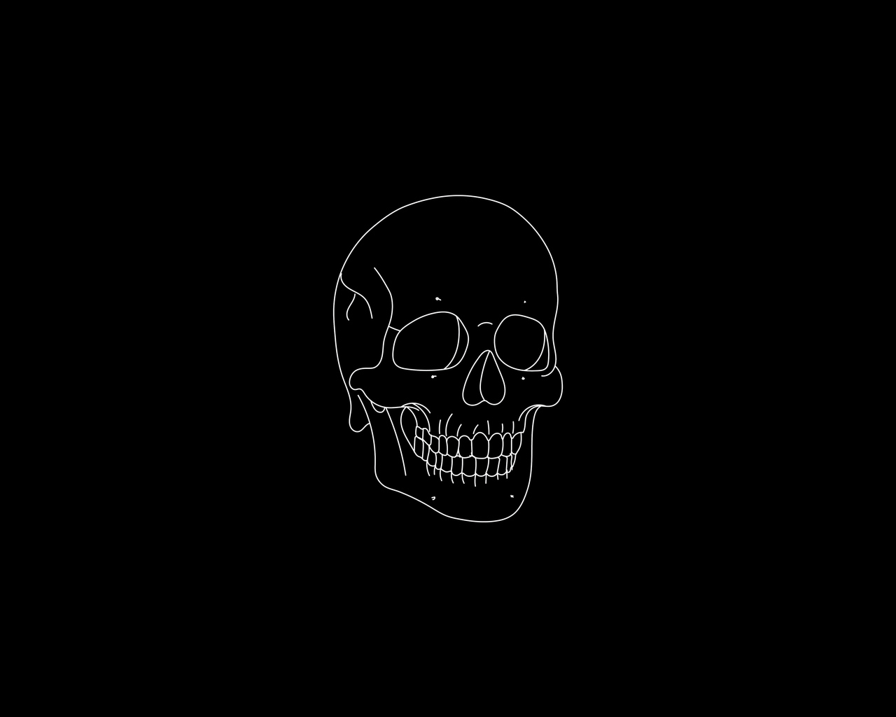 Skull Light Minimal 4k 1280x1024 Resolution HD 4k Wallpaper, Image, Background, Photo and Picture