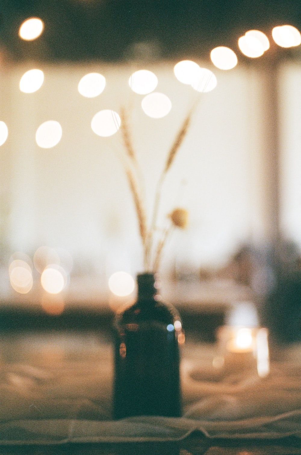 A vase with wheat in it sitting on a table. - Photography