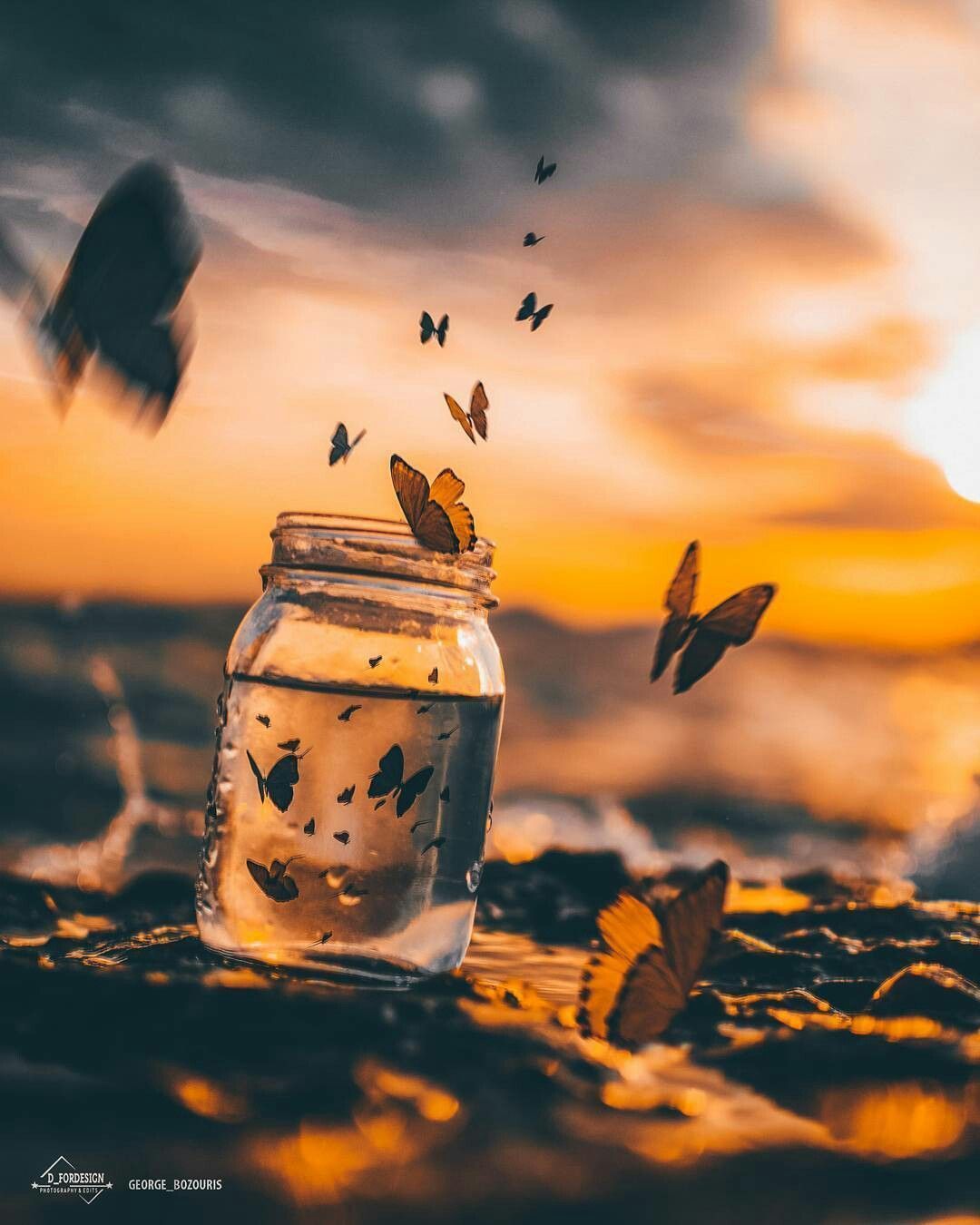 Butterflies flying out of a jar on the beach - Photography
