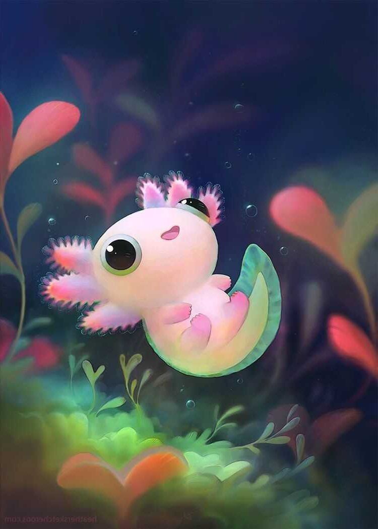 Or link briefly describe this image a cute little creature in the water - Axolotl