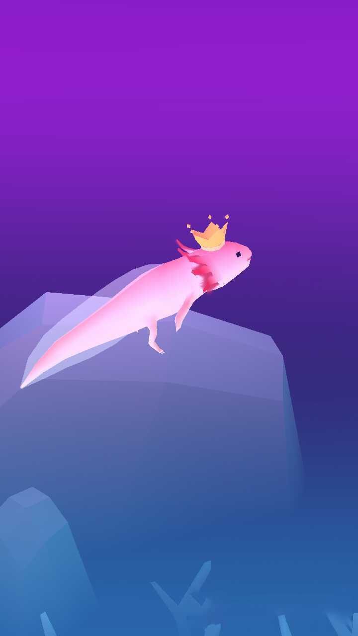 A fish with crown on its head - Axolotl