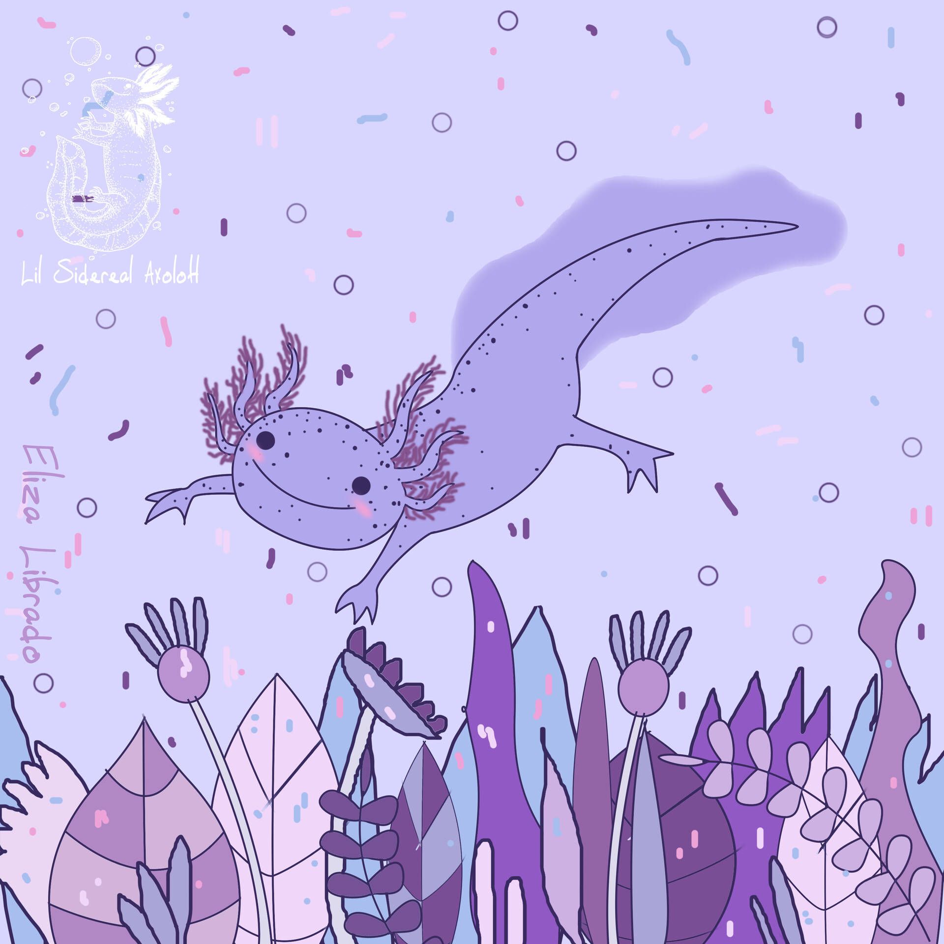 Free Axolotl Wallpaper Downloads, Axolotl Wallpaper for FREE