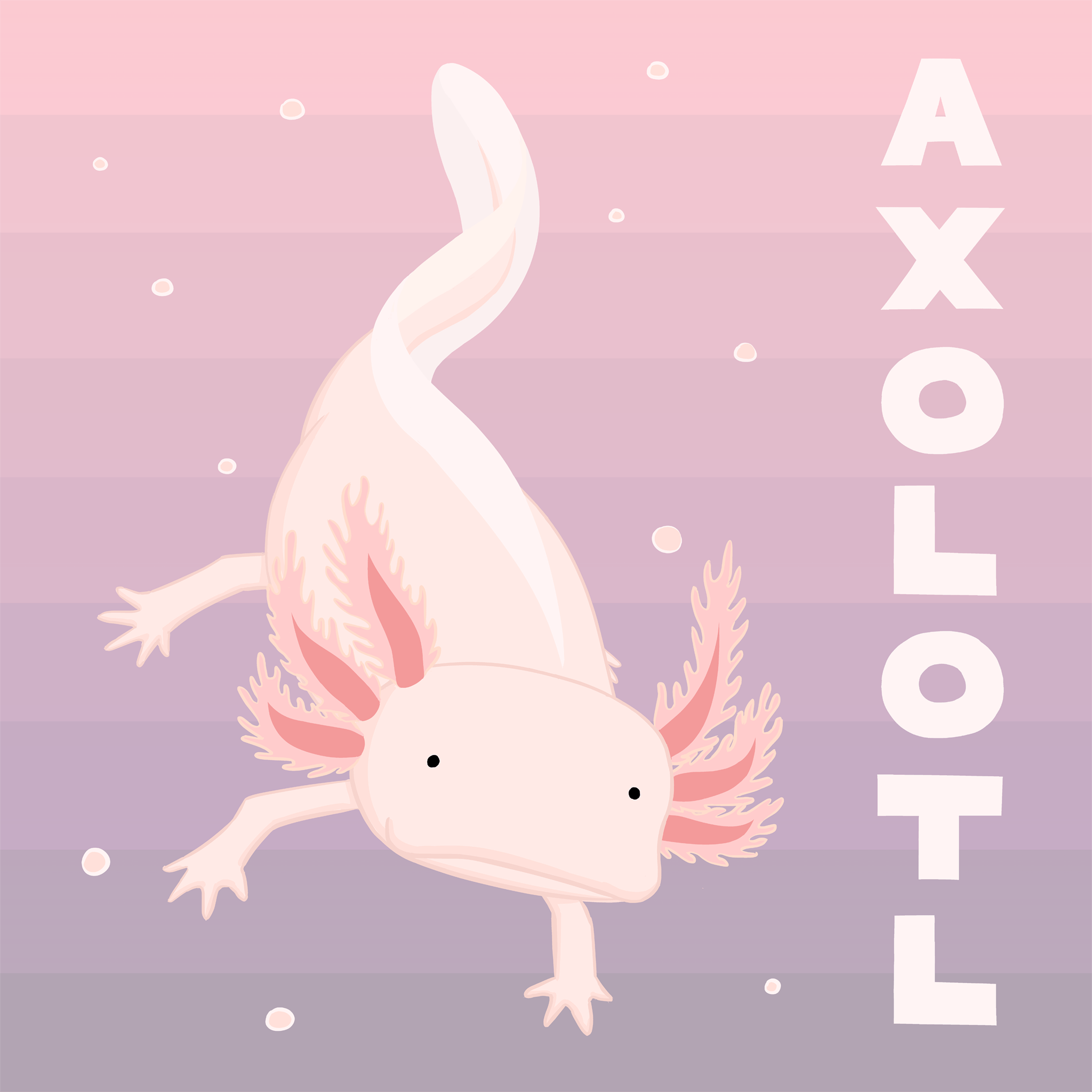 A cute little lizard with pink spikes on its back - Axolotl