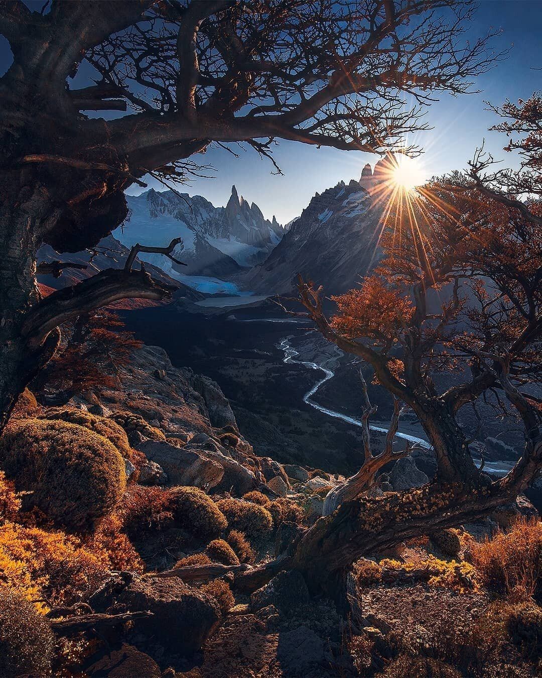 A sunburst shines through a tree in front of a mountain range - Photography