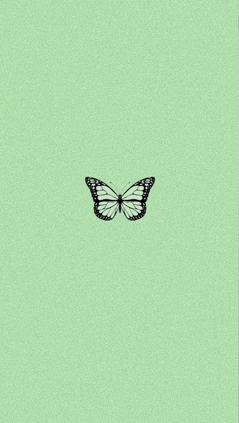 Aesthetic green, aesthetic, aesthetic butterfly, black, butterfly, cute, green, HD phone wallpaper