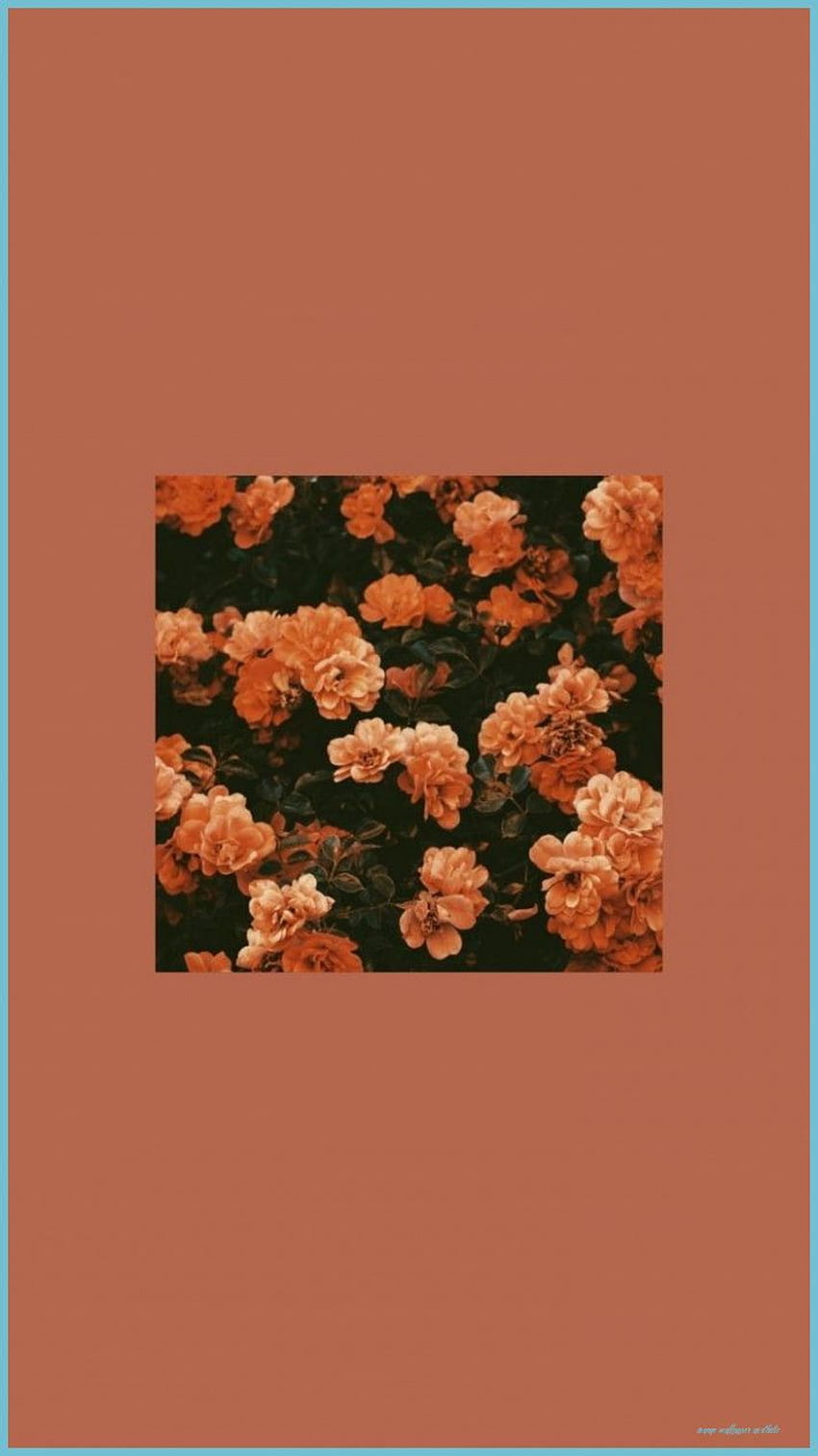 An orange aesthetic wallpaper with a picture of flowers. - Orange