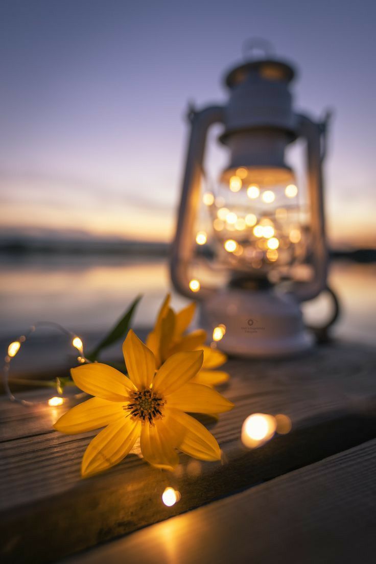 A lantern with flowers and lights on it - Photography