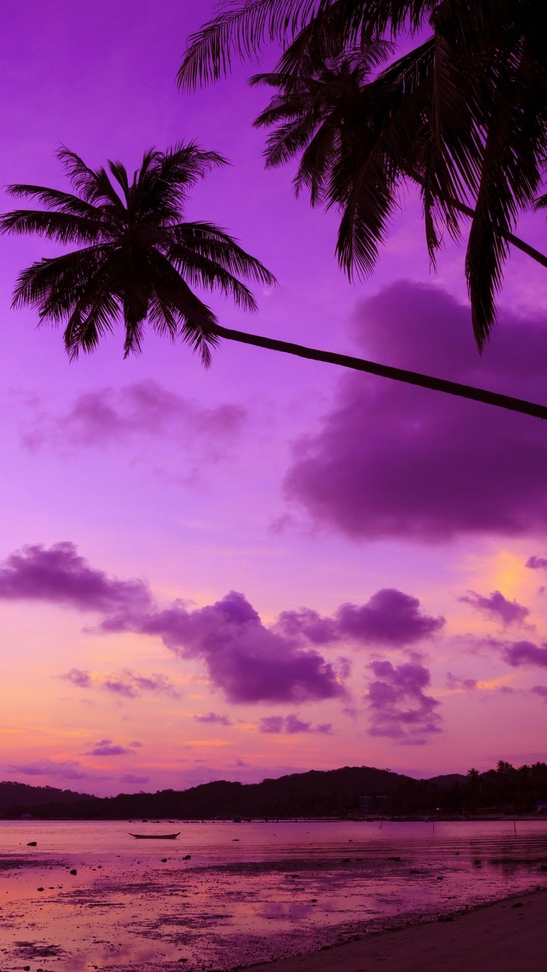 A purple sunset with palm trees in the foreground - Photography, sunset, palm tree