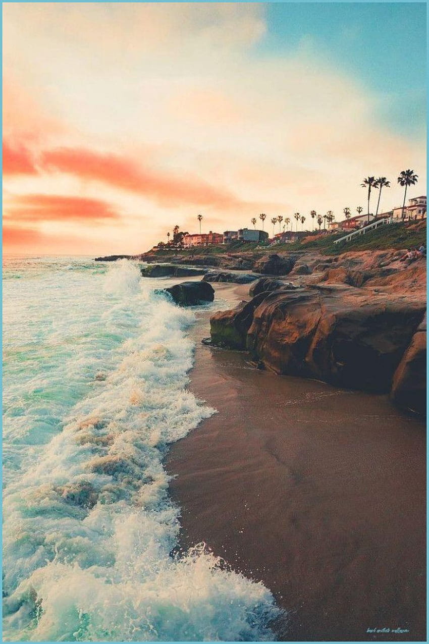 A beach with palm trees and waves crashing on the shore - Beach, California, Hawaii, photography, coast