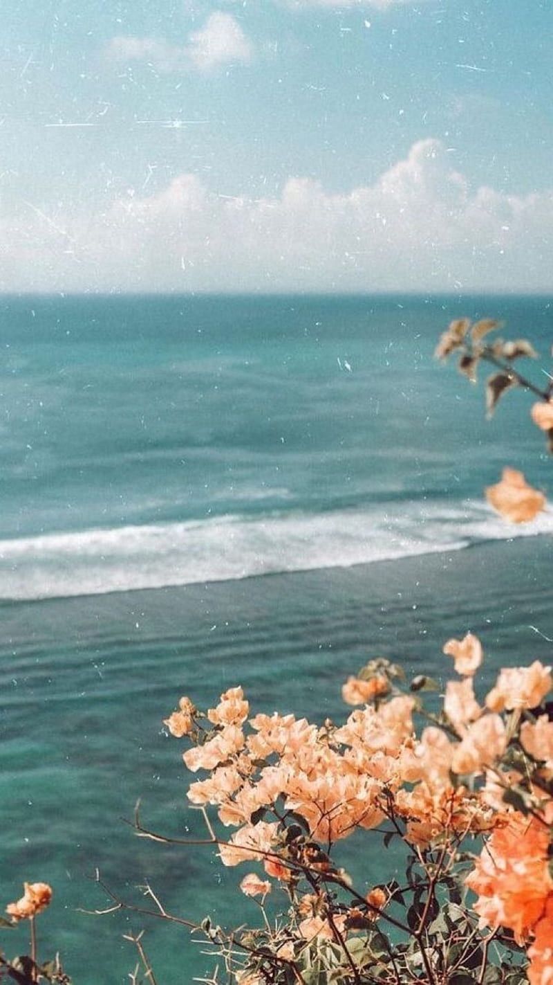 A view of the ocean from above - Beach, 90s, vintage, retro, ocean, coast