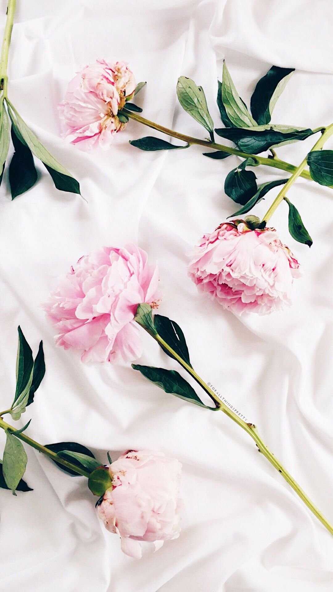 A close up of some flowers on white cloth - White