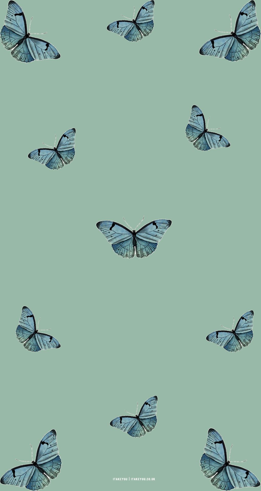 Sage Green Minimalist Wallpaper for Phone : Butterfly Butterfly I Take You. Wedding Readings. Wedding Ideas