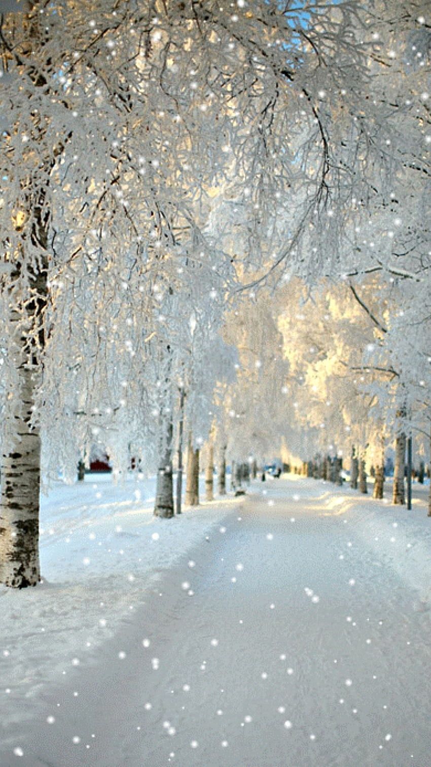 Winter aesthetic HD wallpaper