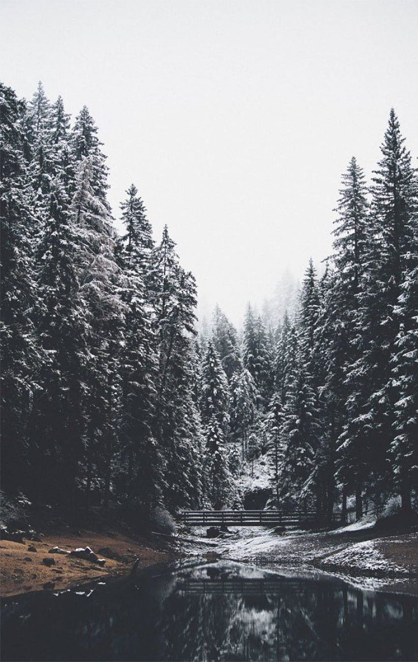 A river surrounded by snow covered trees - Winter