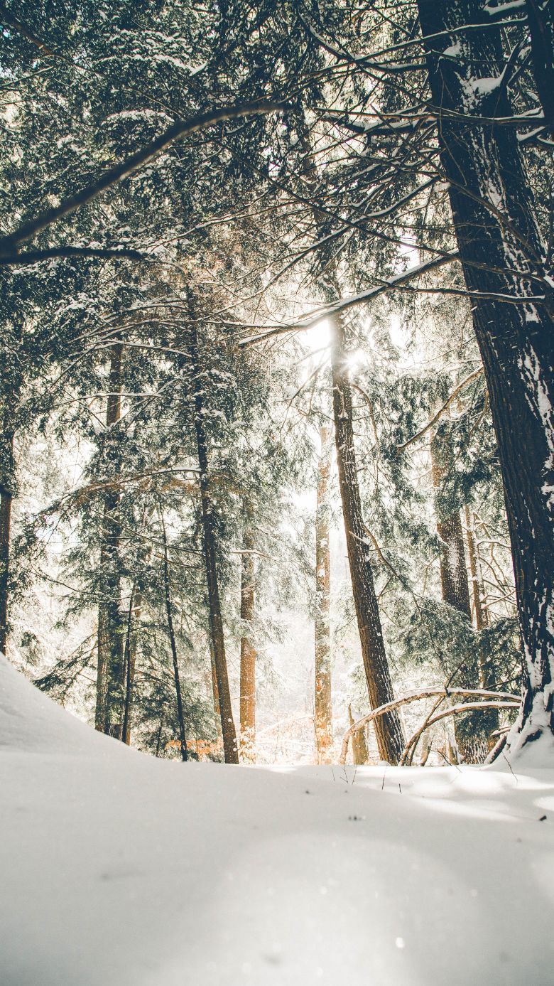 Gorgeous Free Winter Wallpaper For IPhone