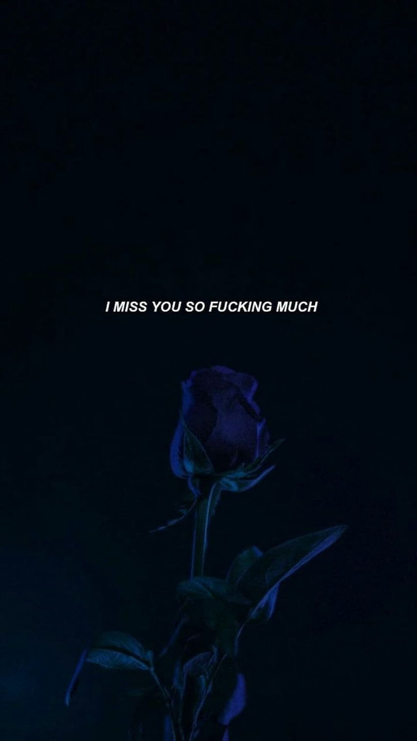 Black background, rose in the middle, i miss you so fucking much, written in white - Dark blue, navy blue