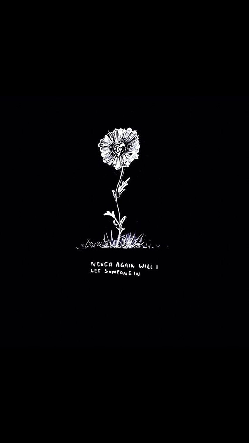 A flower on black background - Sad