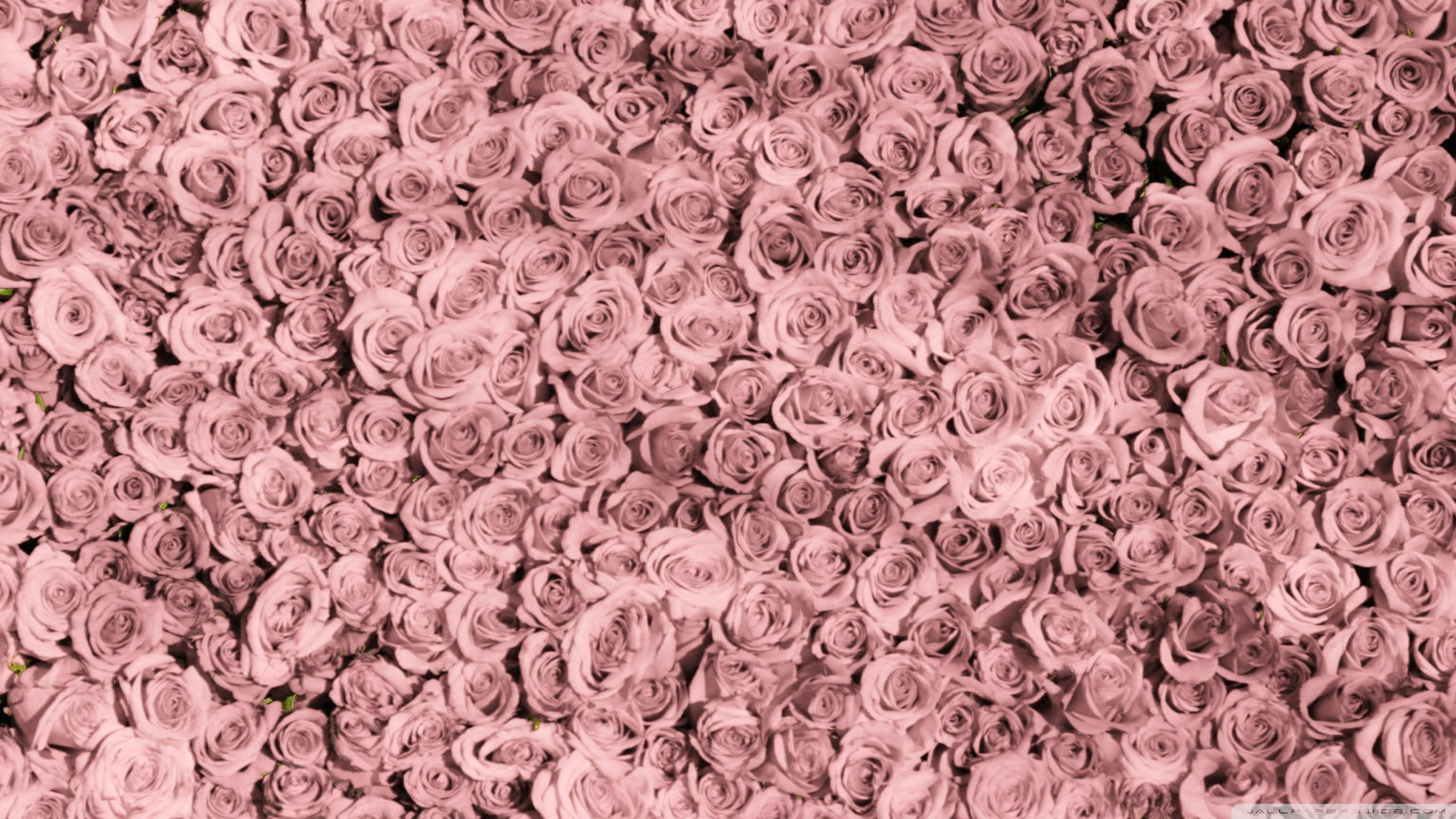 Rose Gold Aesthetic 2560X1440 Wallpaper