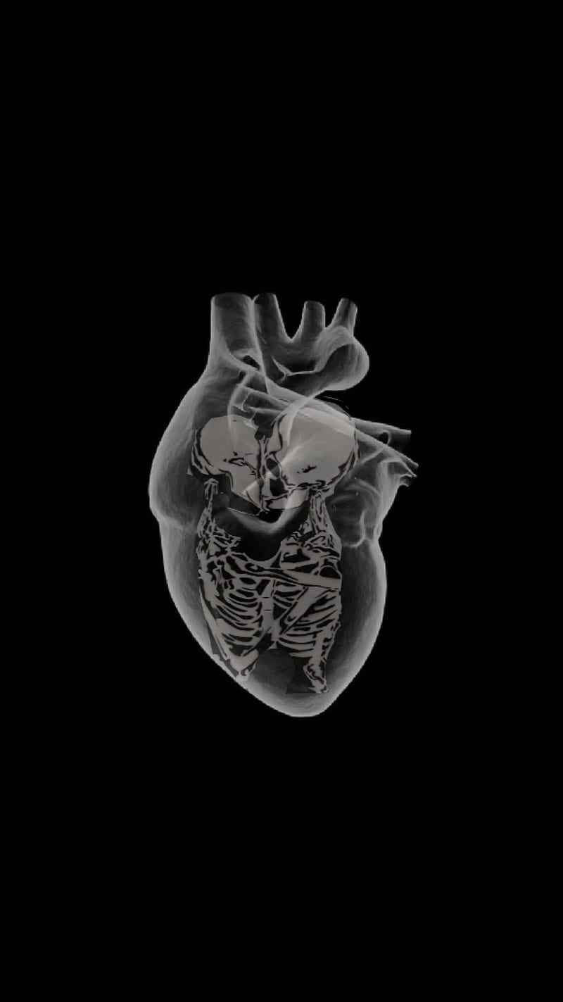 A black and white image of a human heart with a skeleton outline on a black background. The heart is partially transparent and the ribs and sternum are clearly visible. The image is set against a black background. - Skeleton