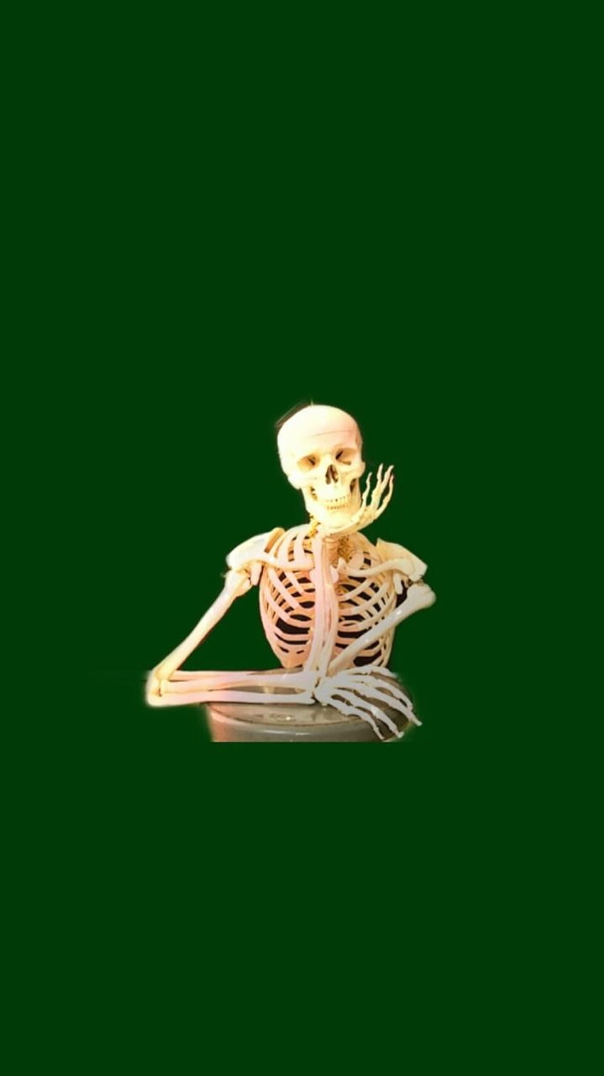 A skeleton sitting on the ground with its hand in front of it - Skeleton