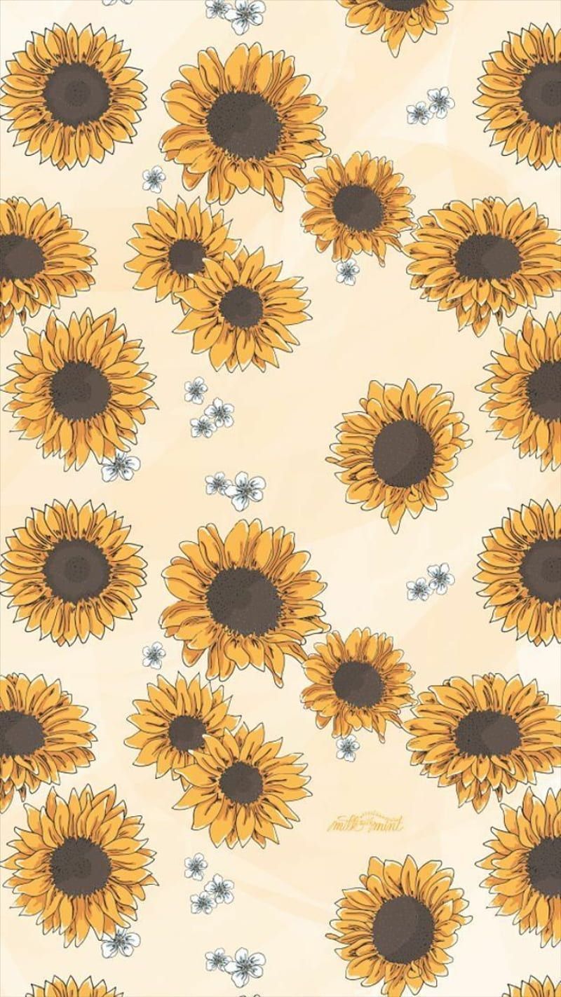 Sun, aesthetic, sunflower, HD phone wallpaper