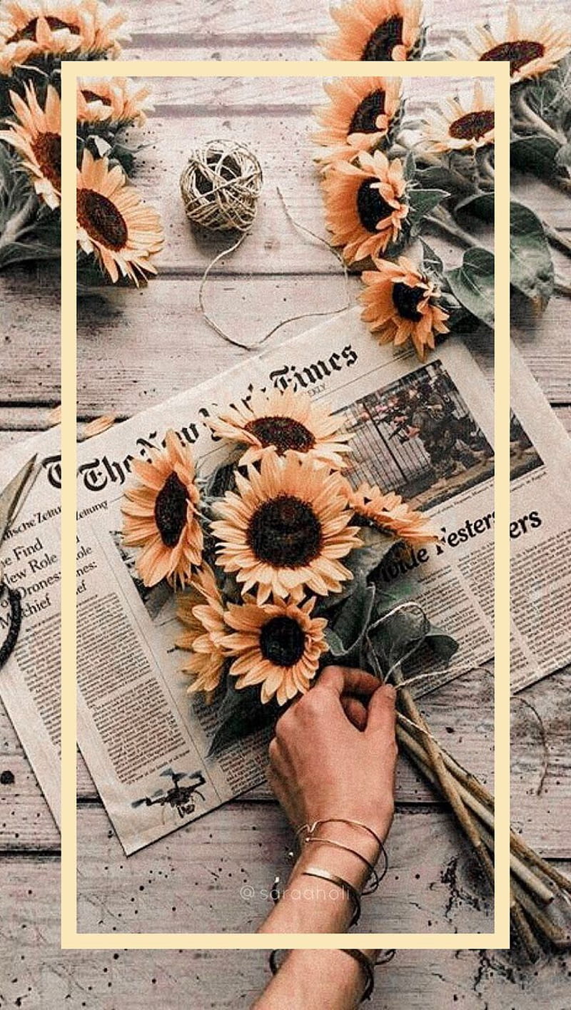Sunflower, aesthetic, yellow, flower, yellow flower, pastel yellow, HD phone wallpaper