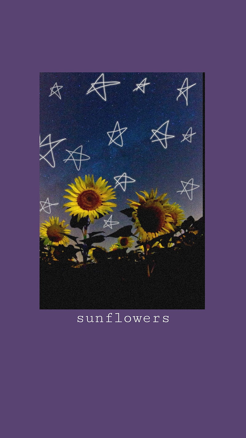 HD aesthetic sunflower wallpaper