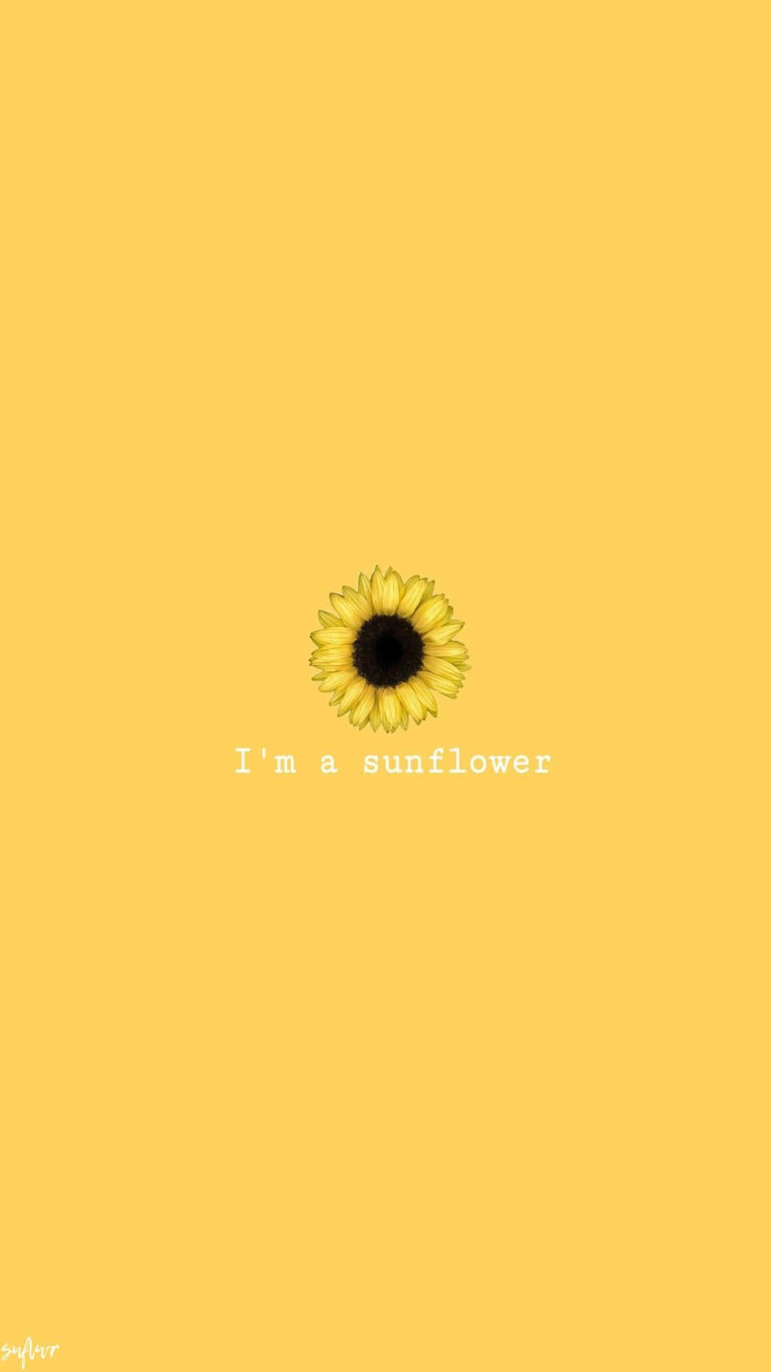 Aesthetic wallpaper of a sunflower with the words 