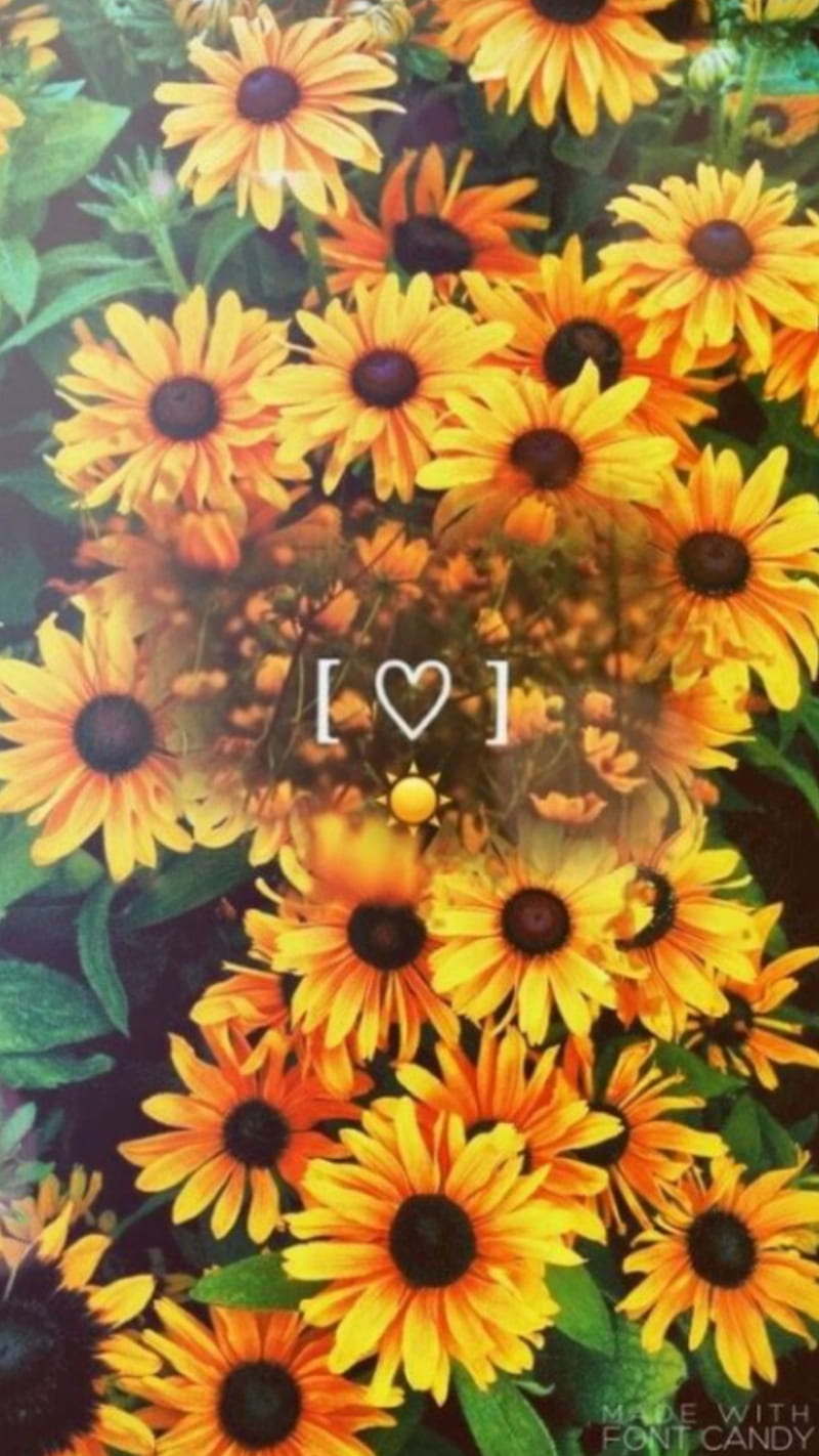 I love you wallpaper with yellow flowers - Sunflower