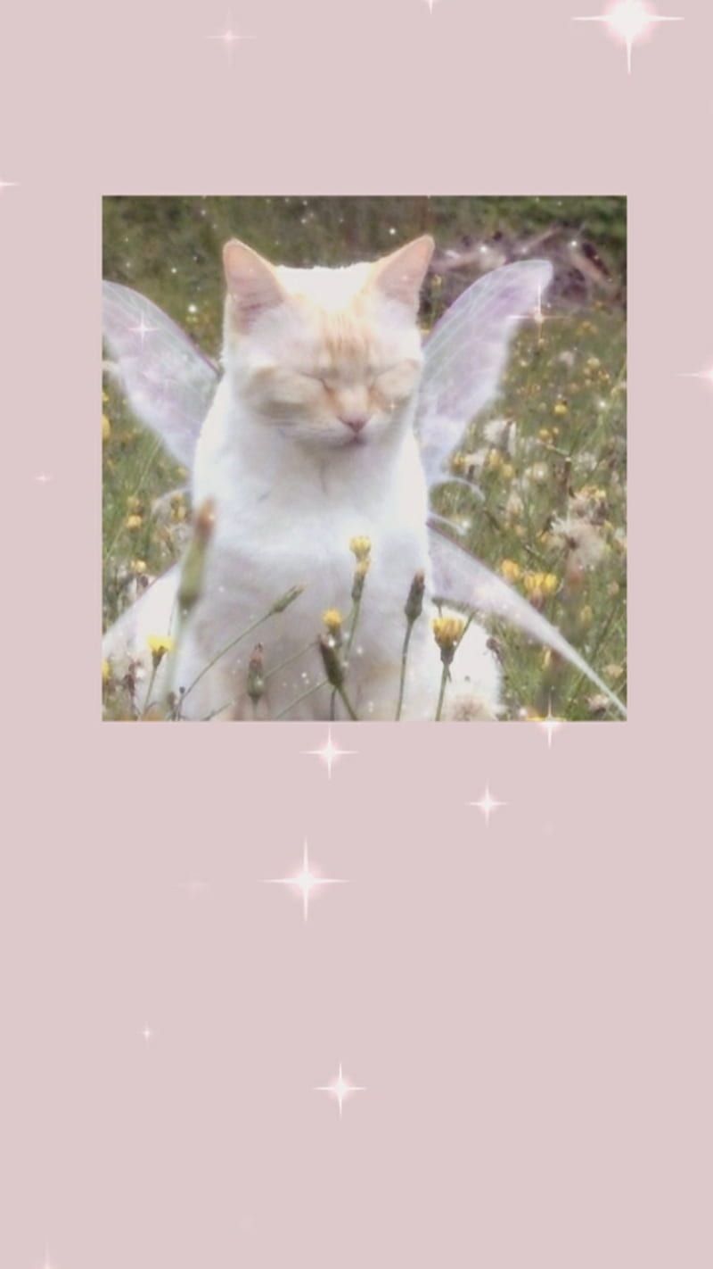 A white cat with wings and fairy dust - Cottagecore, Goblincore