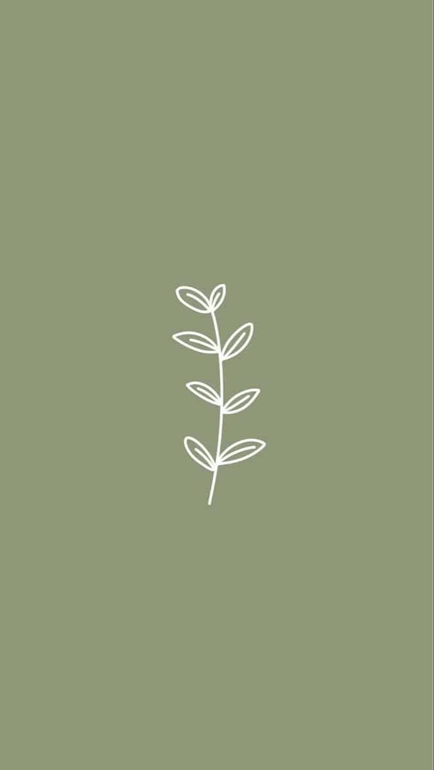 A minimalist logo for an herbal company - Sage green