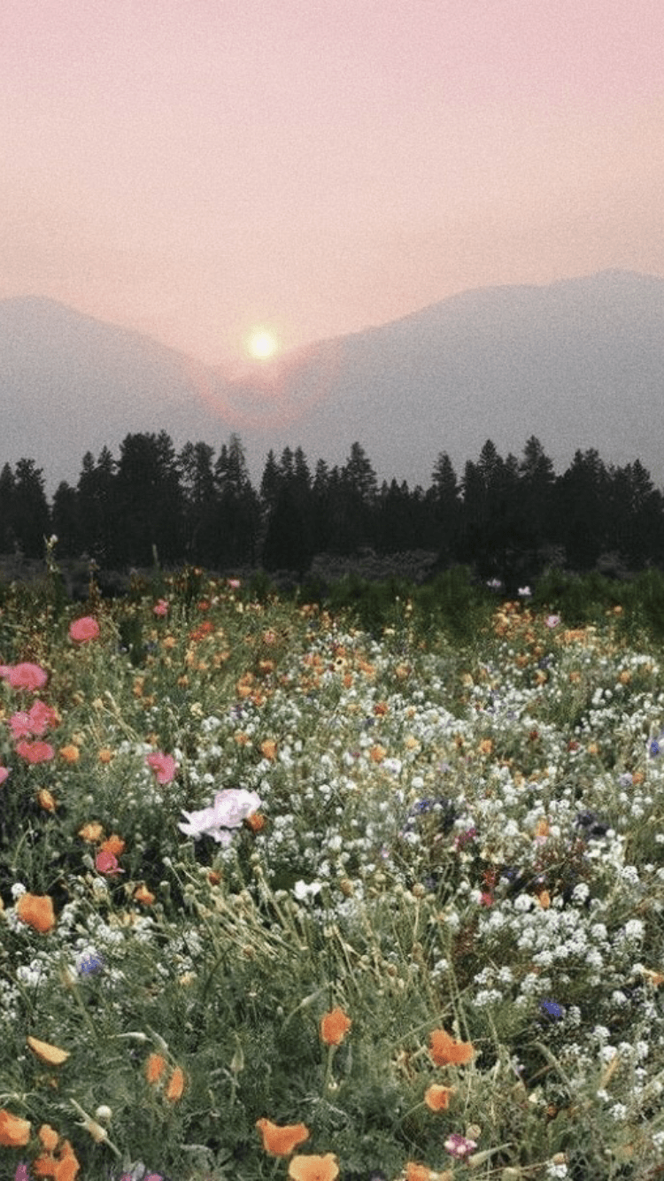 A field of flowers with a mountain in the background - Cottagecore