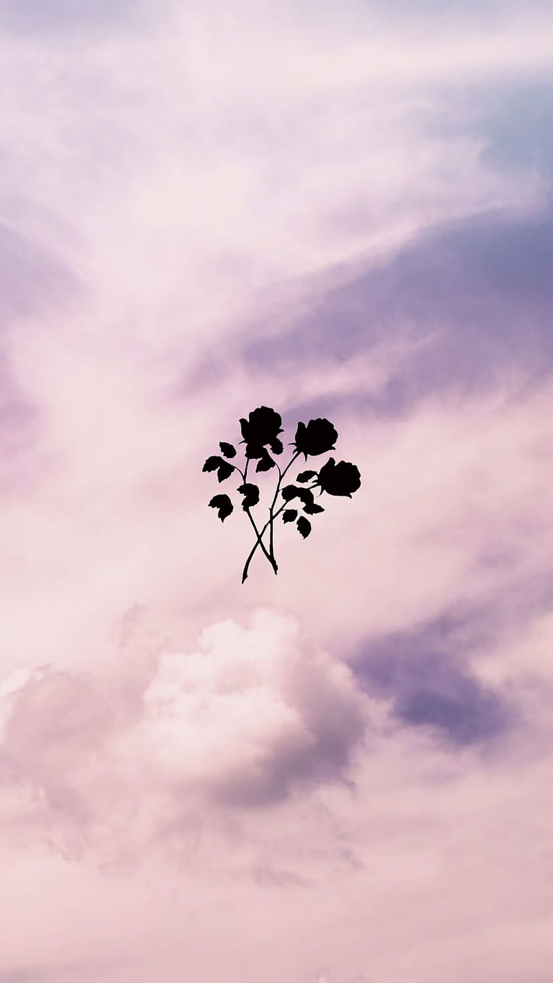 Aesthetic image of a plant silhouette in front of a cloudy sky. - Cloud, vintage clouds