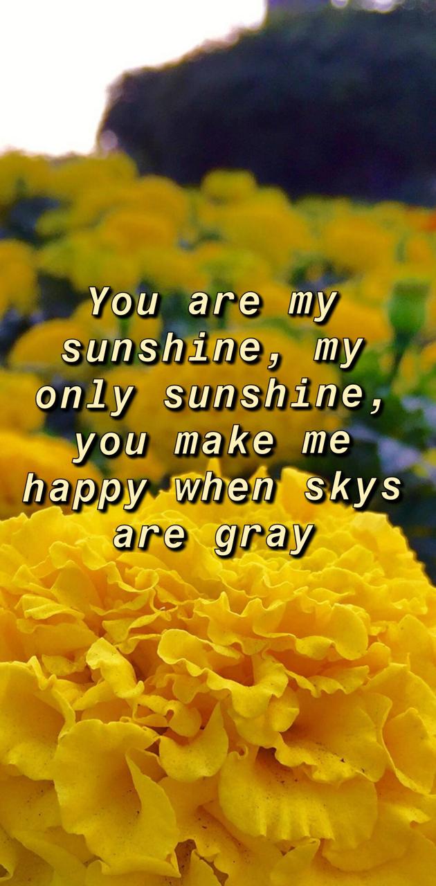 You are my sunshine wallpaper