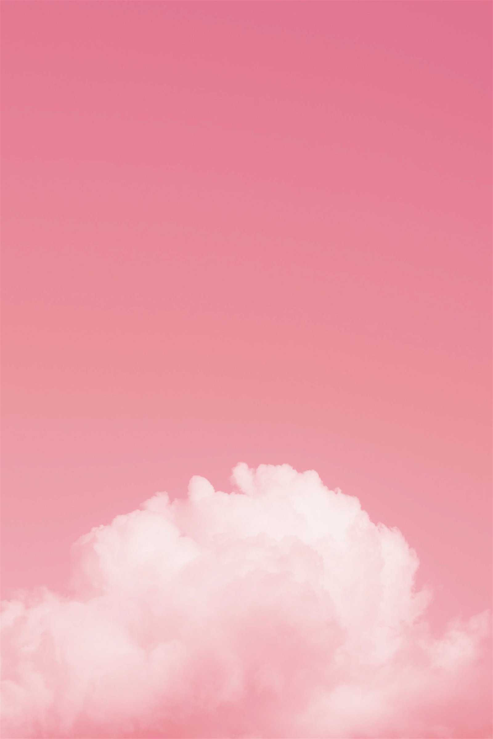 A pink sky with a white cloud - Cloud