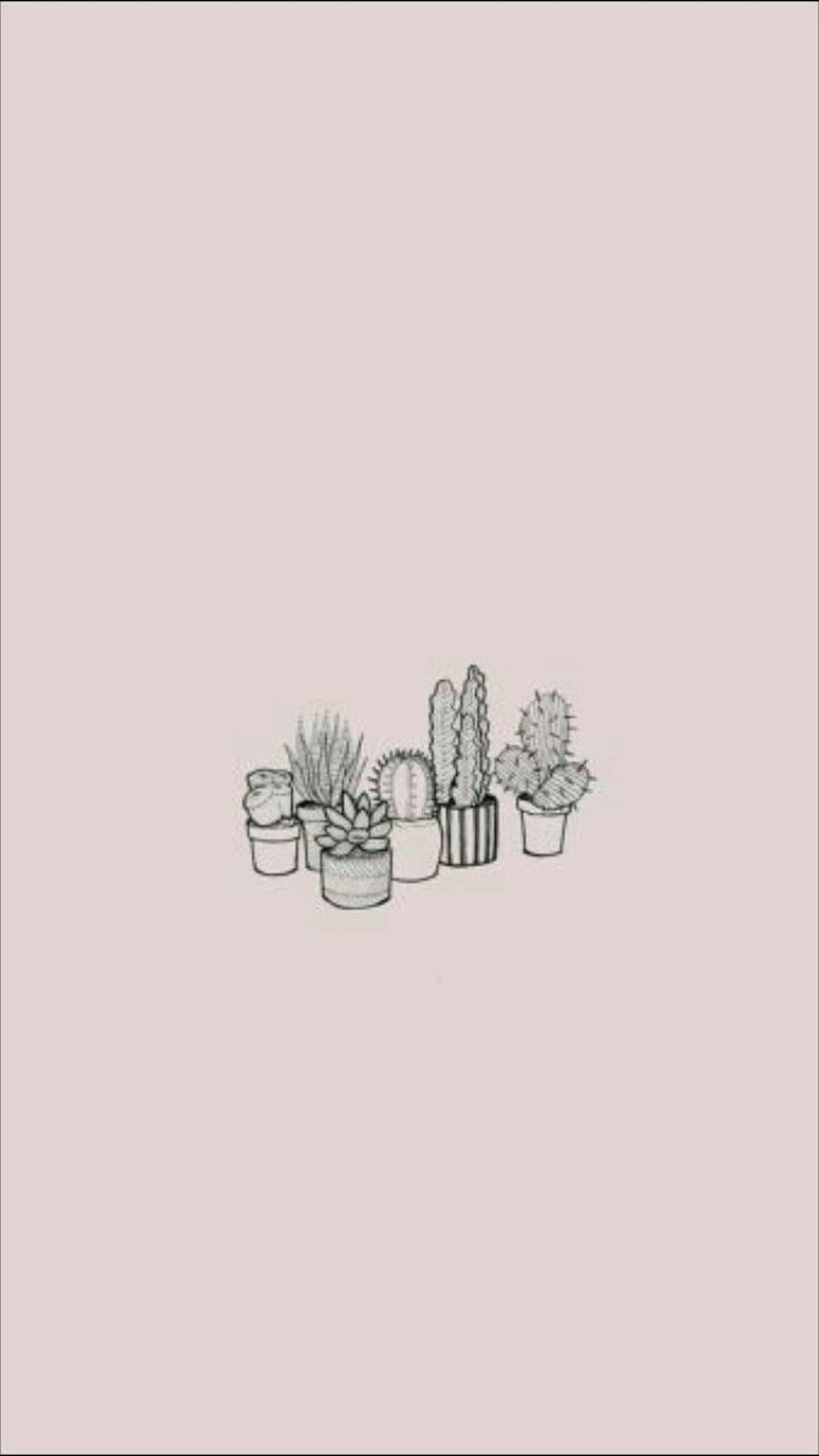 A drawing of cactus plants in pots - Cactus