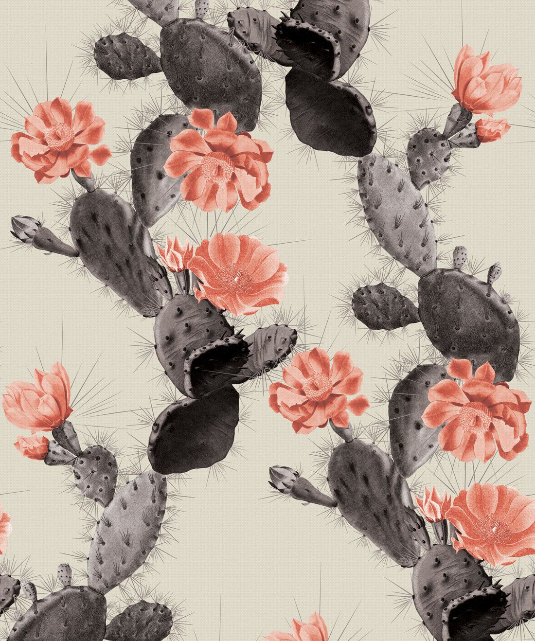 Cactus Wallpaper • Bold Alluring Cacti Design AUS