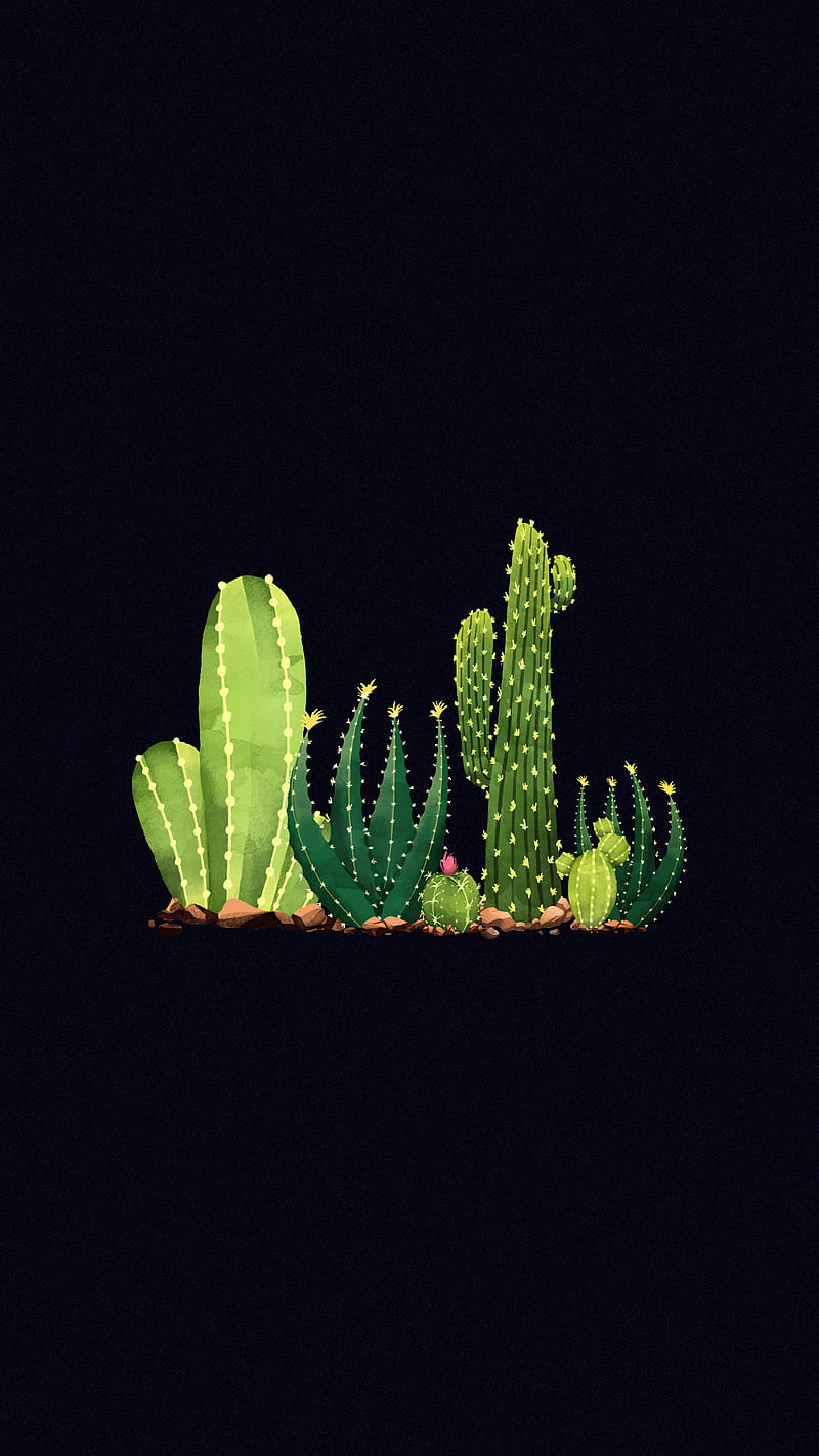 Lovely Cactus, bonito, black, green, love, mobile, nature, plant, simple, HD phone wallpaper