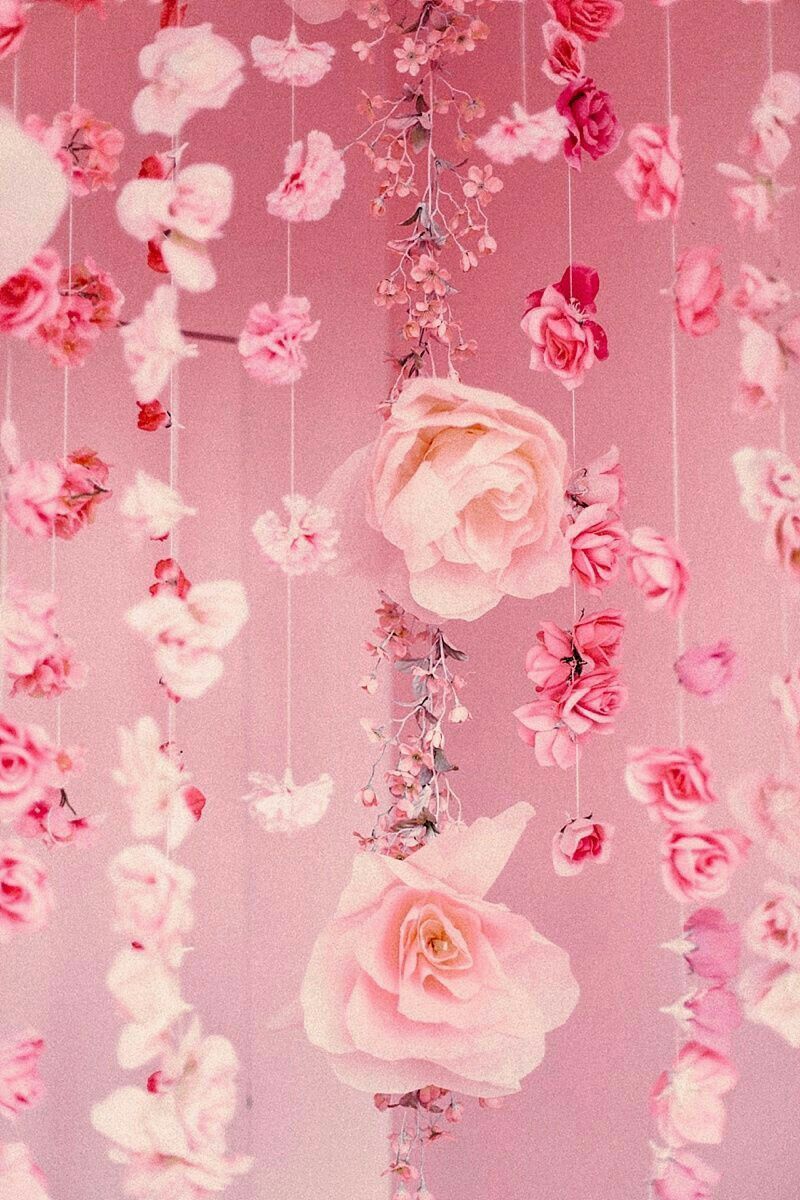 A pink wall with hanging flowers. - Soft pink, light pink, blush