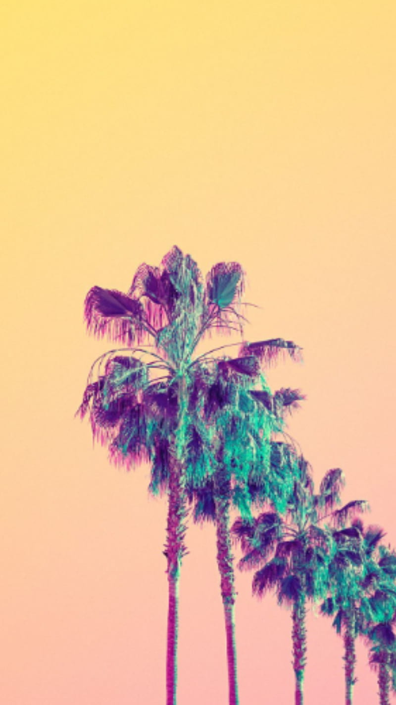 Aesthetic palm, aesthetic, palm, palm tree, tree, trees, HD phone wallpaper