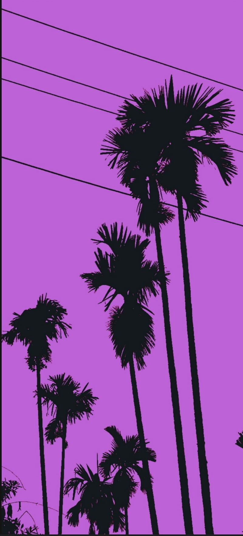Purple sky and trees, aesthetic, new, palm, pink, HD phone wallpaper
