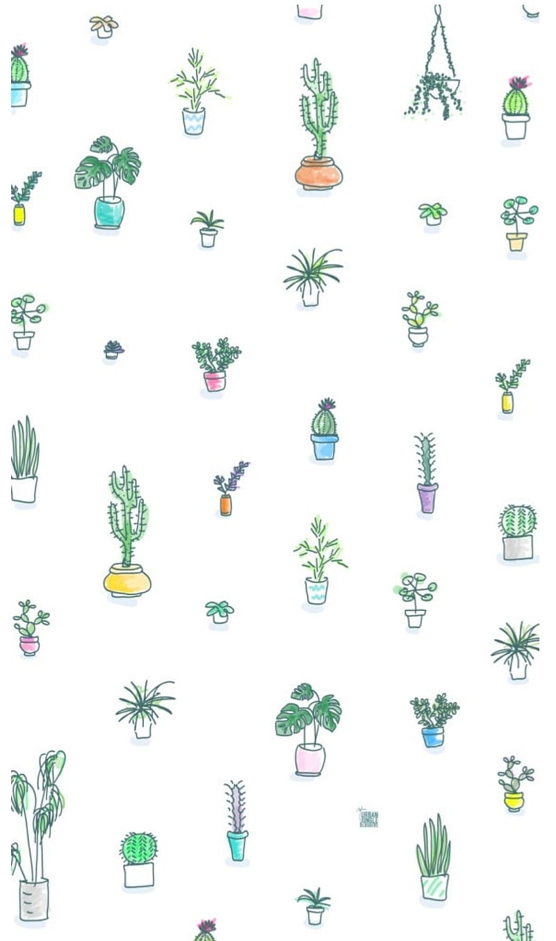 A pattern of cactus plants and pots - Plants, succulent