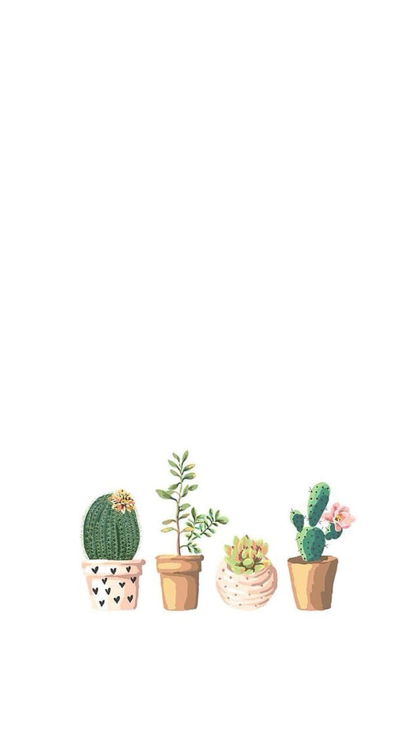 A cactus wallpaper with four different types of plants - Plants