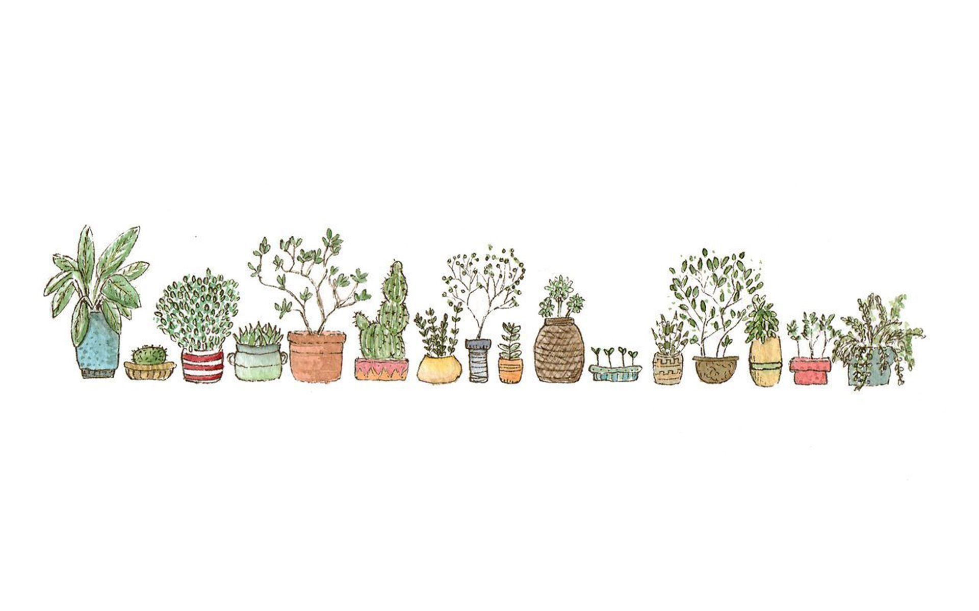 A hand drawn illustration of a row of potted plants. - Plants