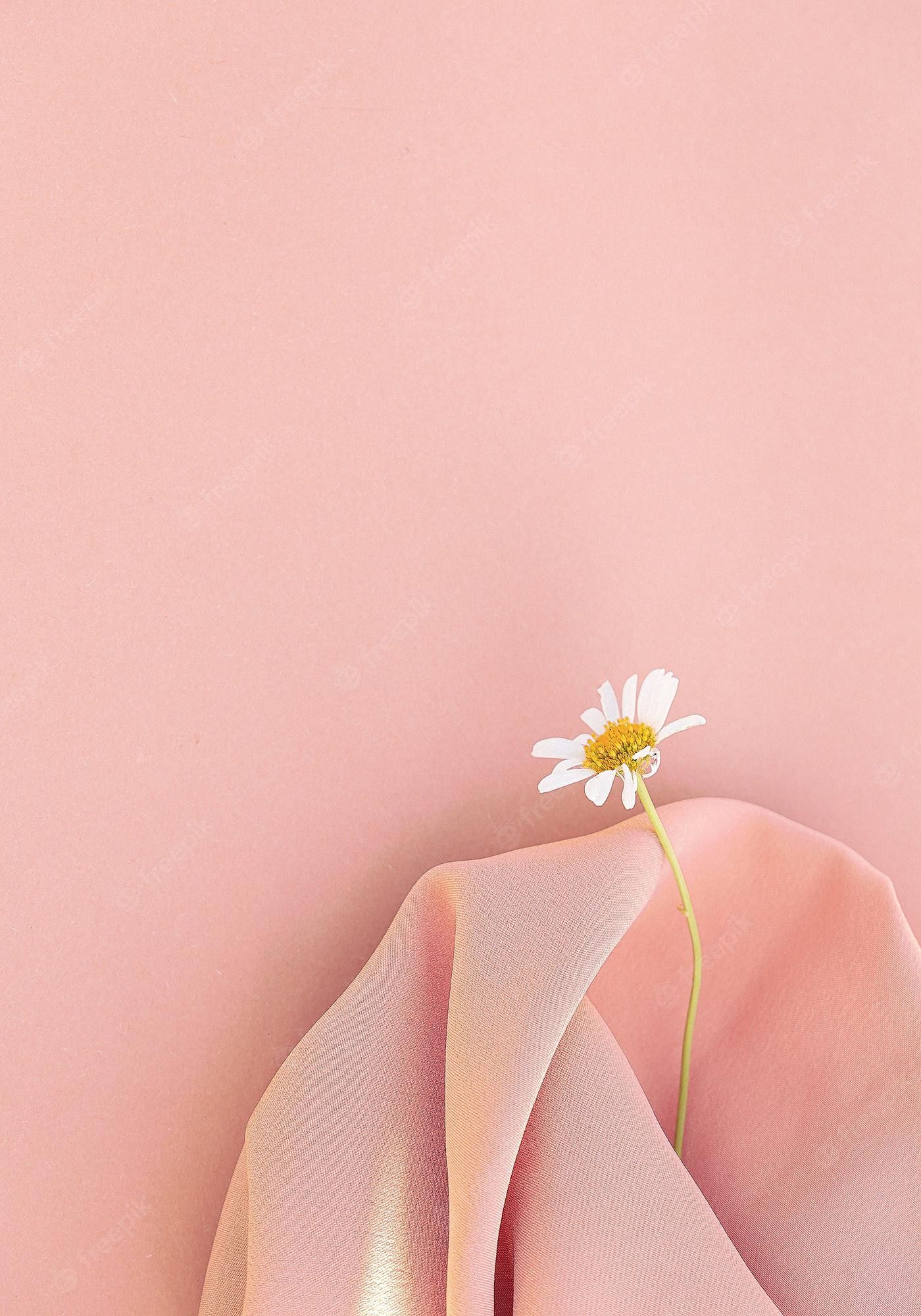 A single flower is on top of some fabric - Soft pink