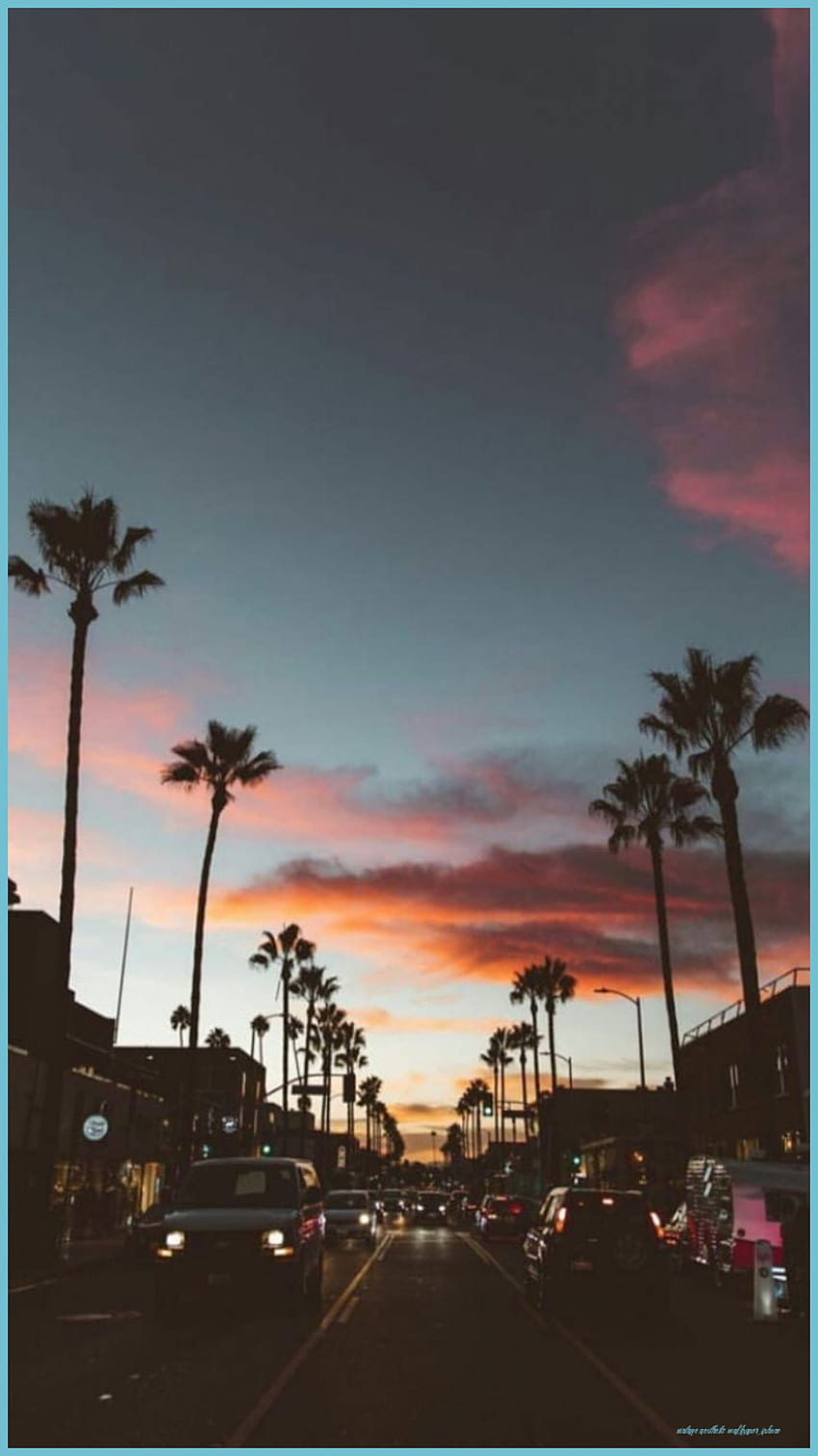 A sunset view of a street lined with palm trees. - IPhone, vintage